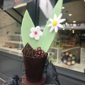 Fleurs en pot chocolat praliné