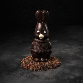 Lapin en chocolat - 100g