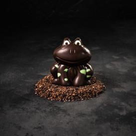 Grenouille en chocolat - 100g